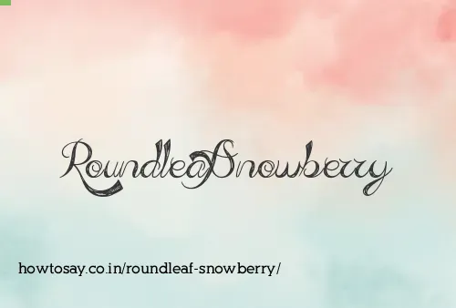 Roundleaf Snowberry