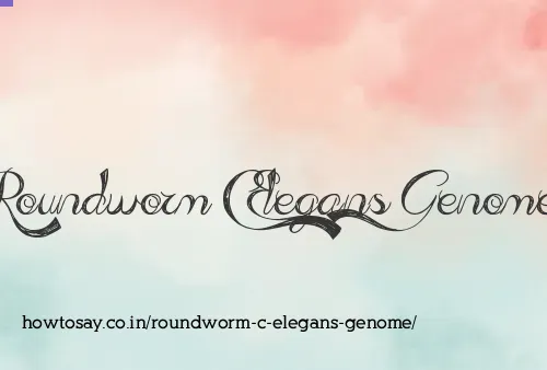 Roundworm C Elegans Genome