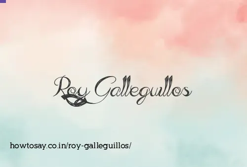Roy Galleguillos