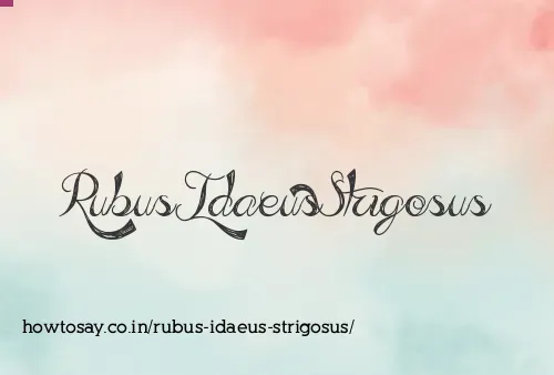 Rubus Idaeus Strigosus