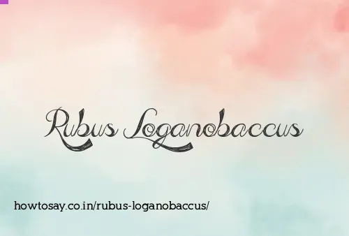 Rubus Loganobaccus