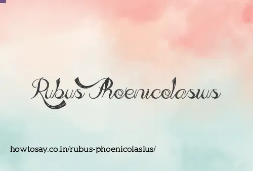 Rubus Phoenicolasius