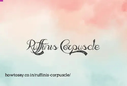 Ruffinis Corpuscle