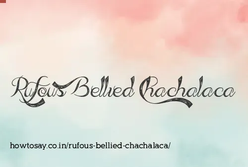 Rufous Bellied Chachalaca