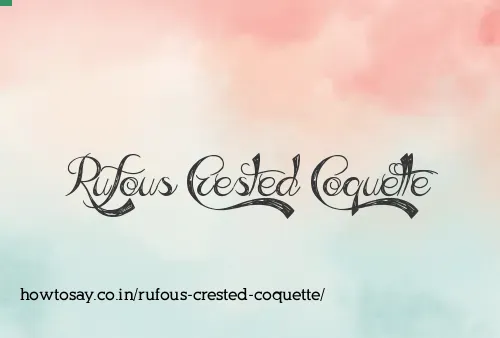 Rufous Crested Coquette