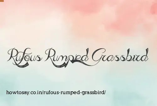 Rufous Rumped Grassbird