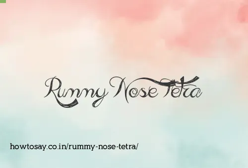 Rummy Nose Tetra