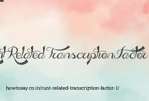 Runt Related Transcription Factor 1