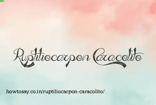 Ruptiliocarpon Caracolito