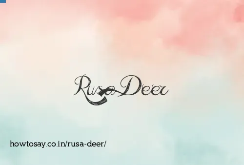 Rusa Deer