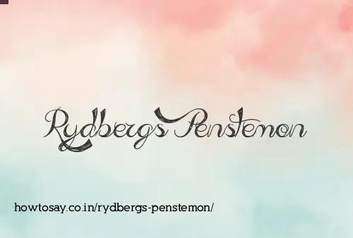 Rydbergs Penstemon