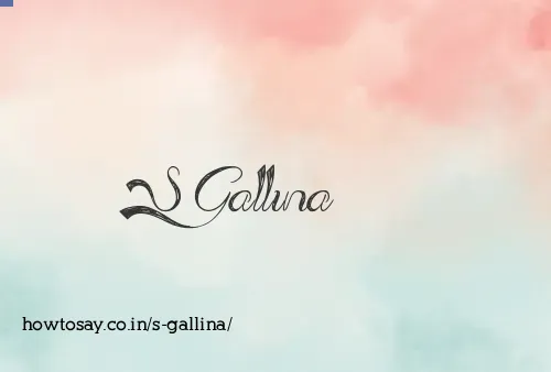 S Gallina