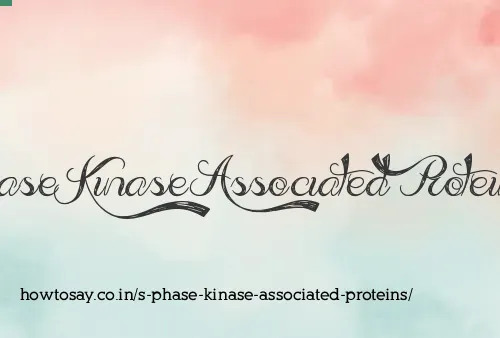 S Phase Kinase Associated Proteins