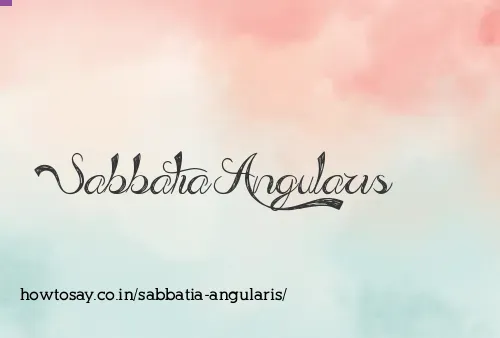 Sabbatia Angularis