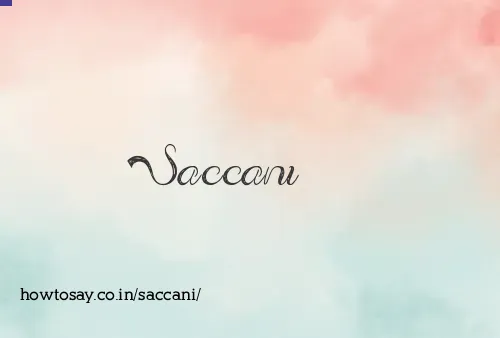 Saccani