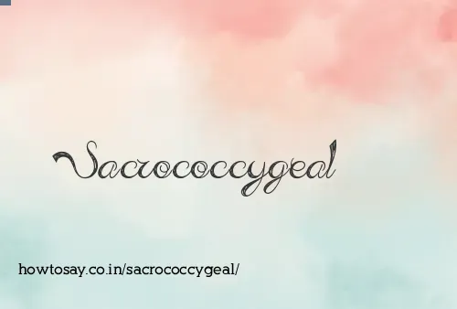 Sacrococcygeal