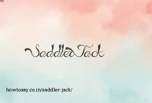 Saddler Jack