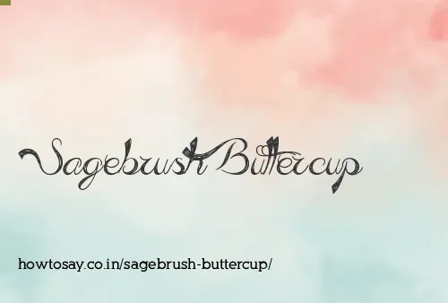 Sagebrush Buttercup