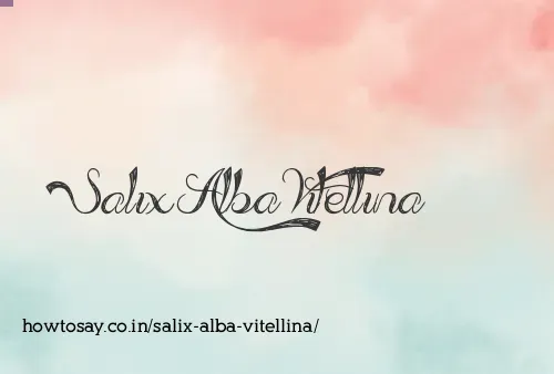 Salix Alba Vitellina