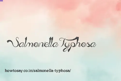 Salmonella Typhosa
