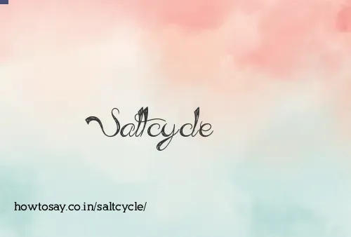 Saltcycle