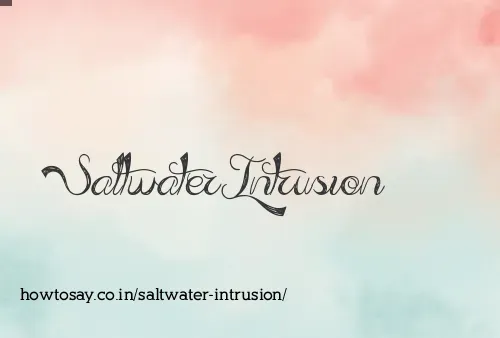 Saltwater Intrusion