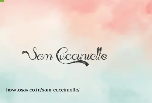 Sam Cucciniello