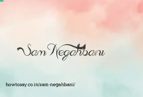 Sam Negahbani