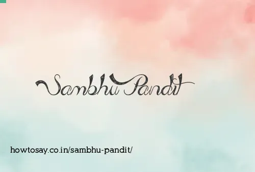 Sambhu Pandit