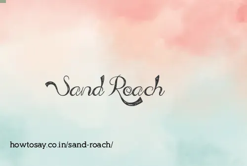 Sand Roach