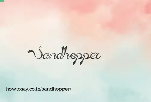 Sandhopper