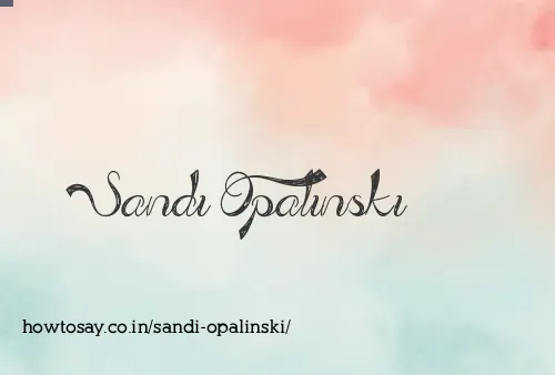 Sandi Opalinski