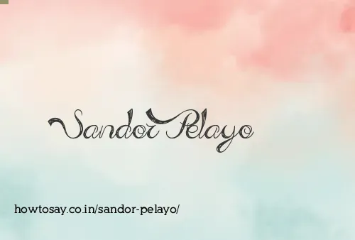 Sandor Pelayo