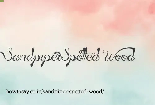 Sandpiper Spotted Wood