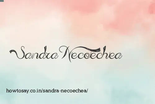 Sandra Necoechea