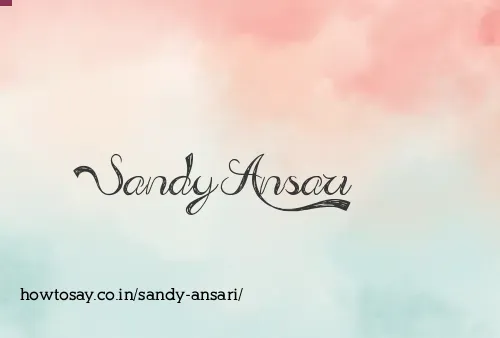 Sandy Ansari
