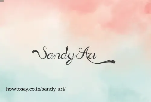 Sandy Ari