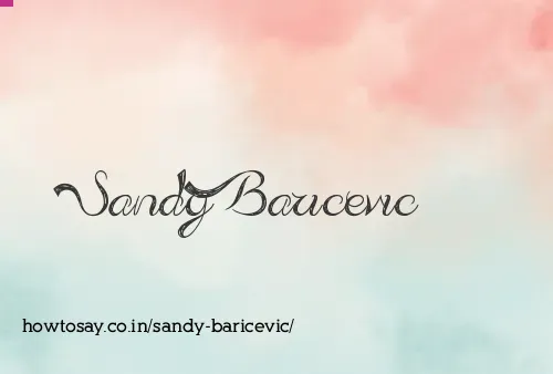Sandy Baricevic
