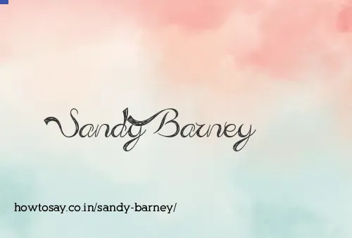 Sandy Barney