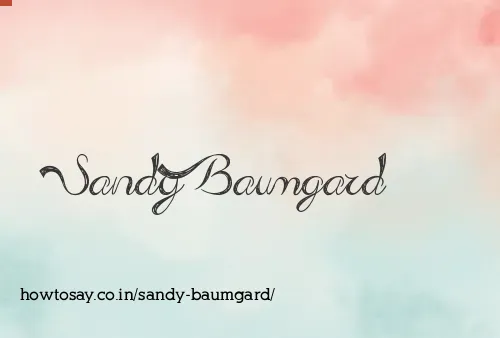 Sandy Baumgard