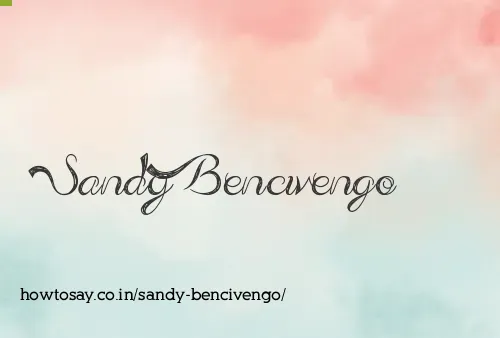 Sandy Bencivengo