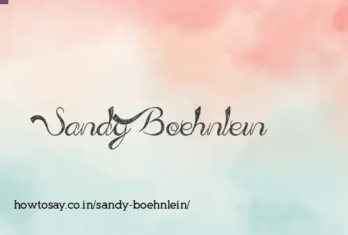 Sandy Boehnlein