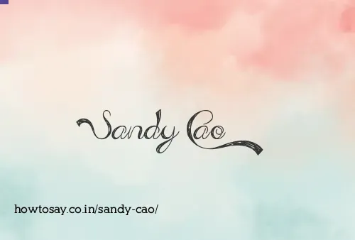Sandy Cao