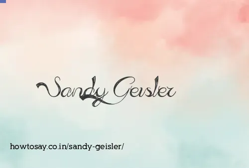 Sandy Geisler