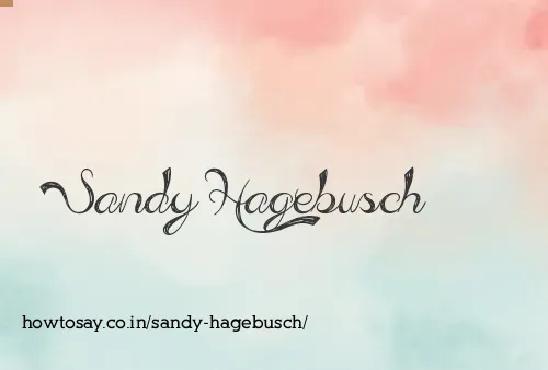 Sandy Hagebusch