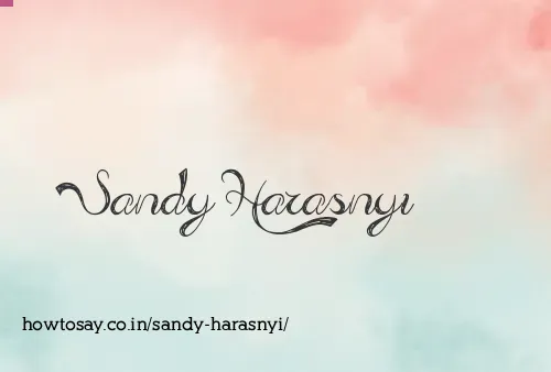 Sandy Harasnyi