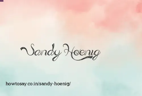 Sandy Hoenig