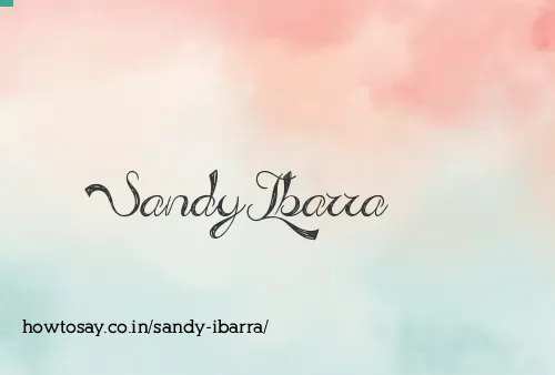 Sandy Ibarra
