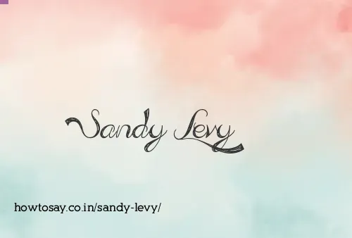 Sandy Levy