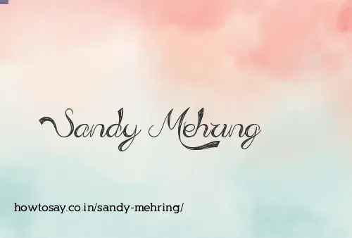 Sandy Mehring